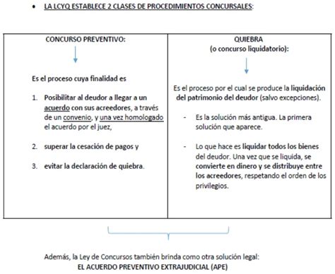 Concursos Y Quiebras Resumen Y Explicación En Pocas Palabras