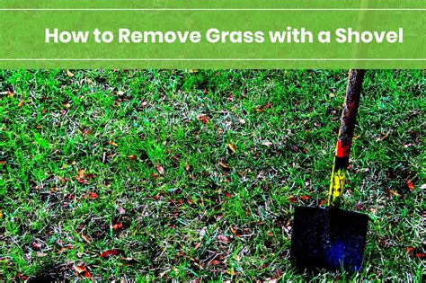 How To Remove Grass With A Shovel Best Way To Remove Grass