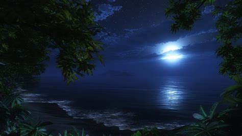 Cg Digital Art Nature Ocean Beaches Waves Sky Night Trees Tropical