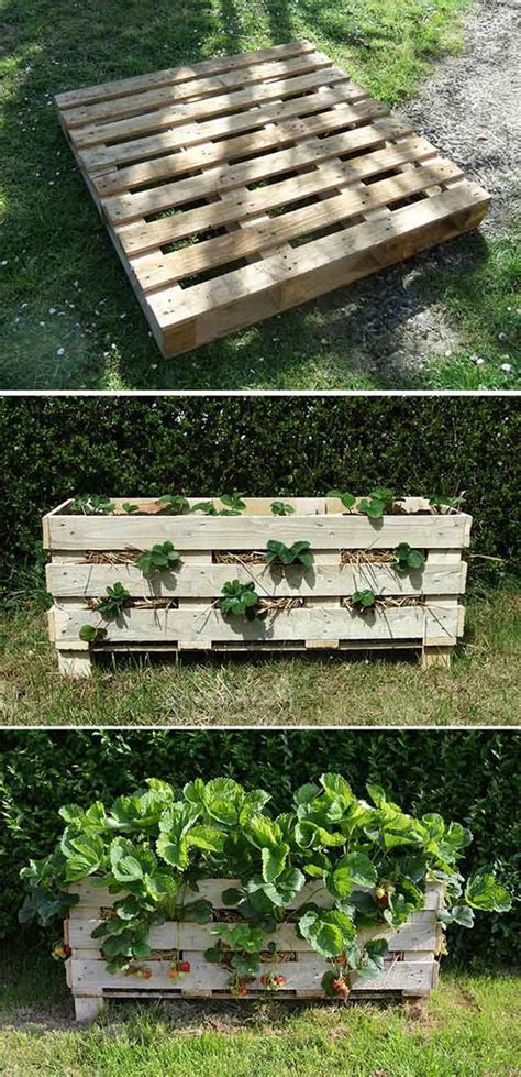 The secret to make a fish pond combined with growing clean vegetables. 17 Creative DIY Pallet Planter Ideas for Spring | Pallets ...