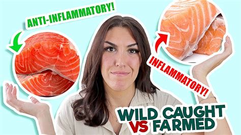 Salmon Nutrition Farm Raised Salmon Wild Caught Salmon Health Coach Benefit Snack Recipes