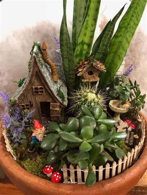 Fairy Succulent Garden In Gilbert Az Lily Of The Valley Flowers And More