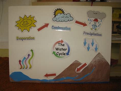 Pix For Water Cycle Science Projects For Kids Water Cycle Science