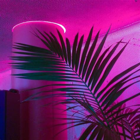 Aesthetic Led Palm Tree Pink Purple Image 4104685