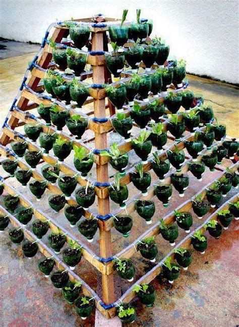 10 Plastic Bottle Vertical Garden Ideas