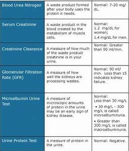 Renal Function Test Normal Values Google Search Medical Pinterest