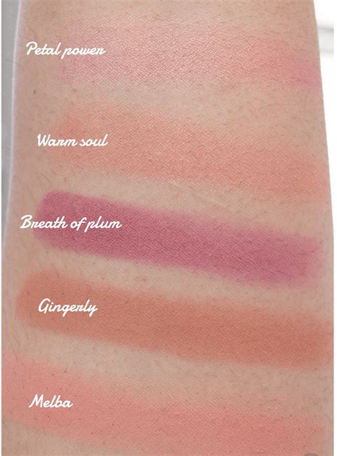 Best Mac Blushes For Warm Skin Tones