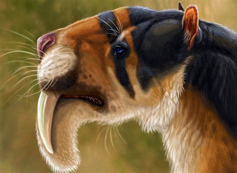 Behold Thylacoleo Australias Extinct Giant Marsupial