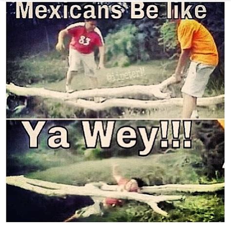 94 Best Mexicans Be Like Images On Pinterest Humor Mexicano