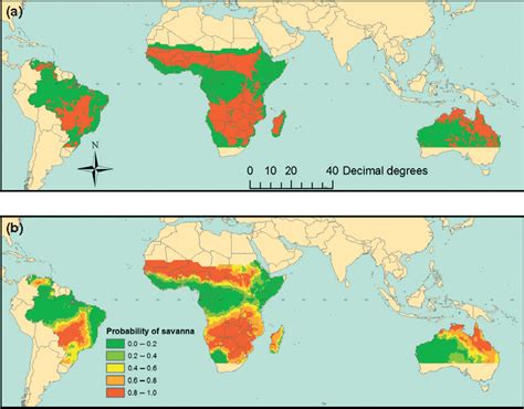 Savanna Biome World Map