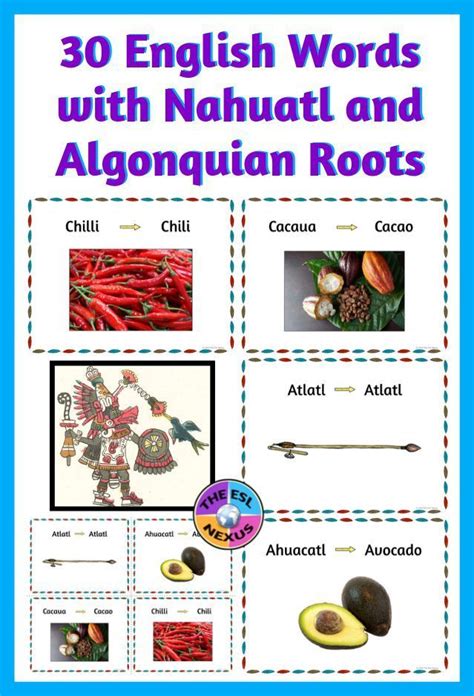 Nahuatl And Algonquian Words In English Posters And Flashcards With Word