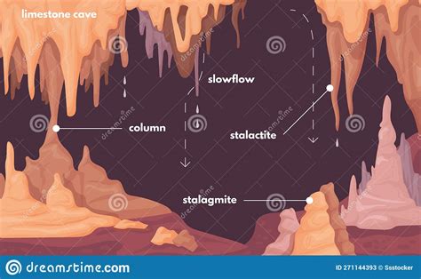 Stalagmite Infographic Stalagmites Formations Natural Stalactite