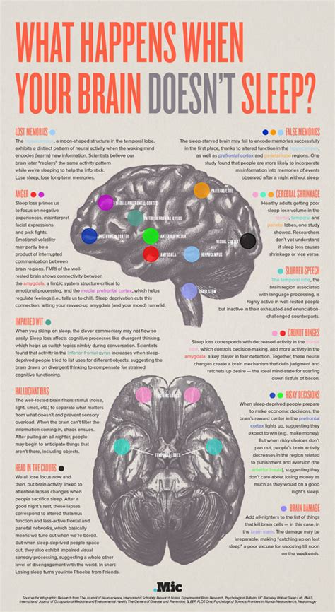 what sleep deprivation does to your brain {infographic} best infographics