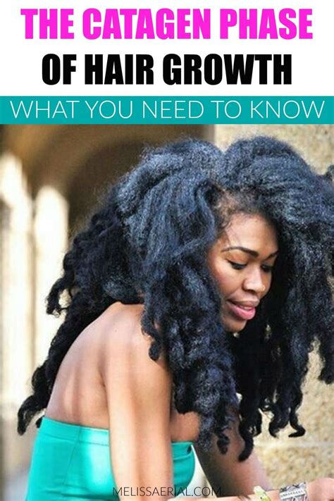 There Are Many Stages To The Hair Growth Cycle That You May Not Be