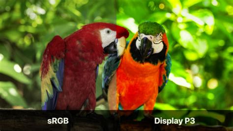 What Is Srgb Adobe Rgb And Dci P3