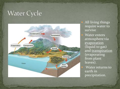 Ppt Cycles Of Matter Powerpoint Presentation Free Download Id2801040
