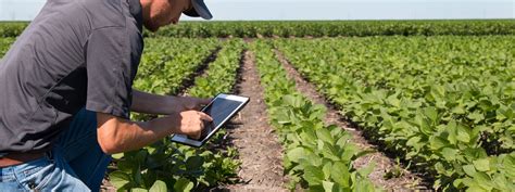 It is difficult to predict the future of technology in agriculture but there are many promising trends and pilot projects. Advancing Agriculture with IoT: 4 Real-World Examples