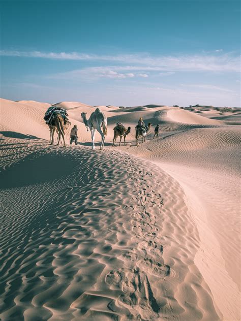 Désert De Tunisie Depuis Douz Quelle Excursion Dans Le Sahara Tunisien