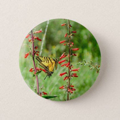 Tiger Swallowtail Butterfly And Wildflowers Button Flowers Floral