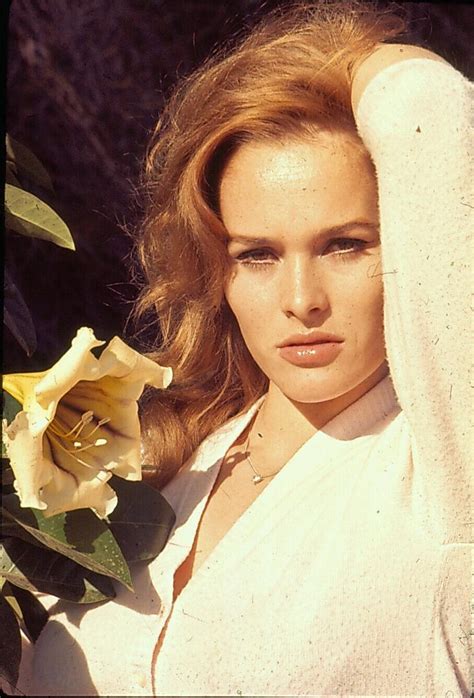 Ursula Andress Bond Girl Super Hot 35mm Orig Color Transparency