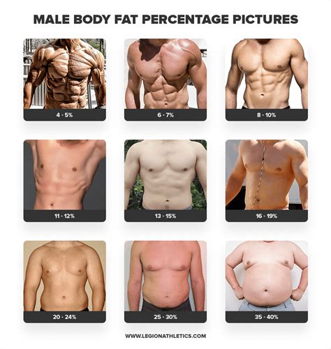 Body Fat Percentage Age Chart