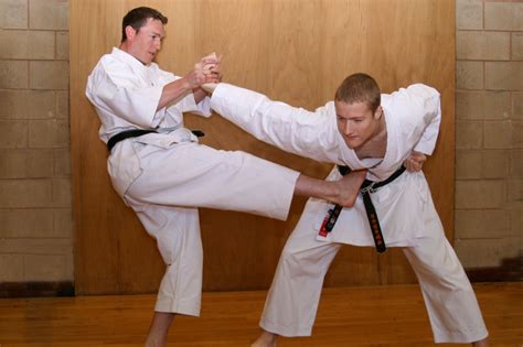 Top 10 Martial Arts Disciplines For Self Defense And Survival Tiger