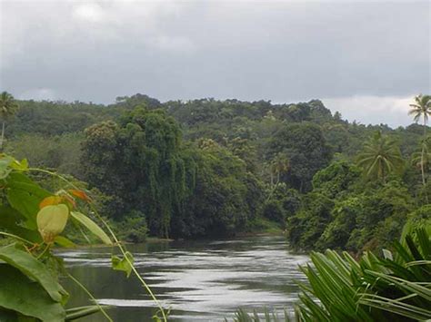 Meenachil River In Kottayam Kerala Keralaorbit