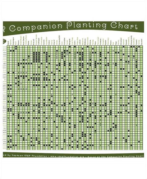 Plants can attract beneficial insects and pollinators, deter pests, and thus act as insect repellants. Companion Planting Chart - 9+ Free Excel, PDF Documents Download | Free & Premium Templates