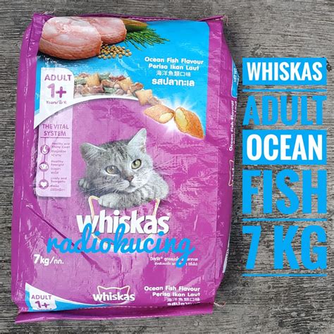 We did not find results for: Review Makanan Kucing Dry Food Whiskas Adult Ocean Fish ...