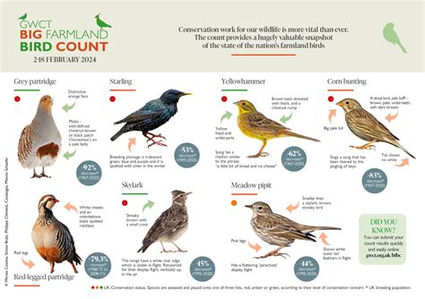 Free Farmland Bird Id Guide Gwct Big Farmland Bird Count