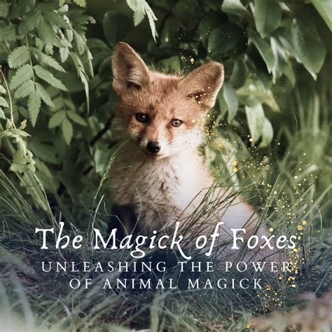 The Magick Of Foxes — Wind Moon Magick