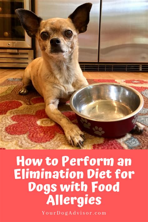 Brown rice is suitable for a dog's digestion because it is full of fibers and rich in vitamins. How to Perform an Elimination Diet for Dogs with Food ...