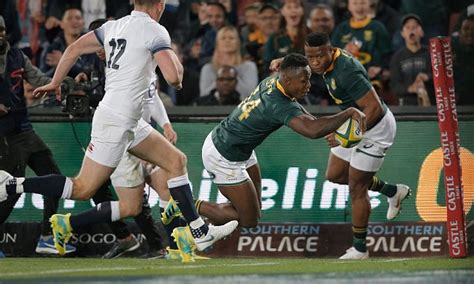Springboks Vs England Live First Test Rugby Score And Updates Daily Mail Online