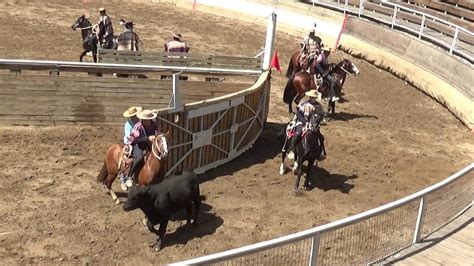 Serie De Potros Rodeo Primera Con Puntos Asoc Valle Santa Cruz 25 Y 26