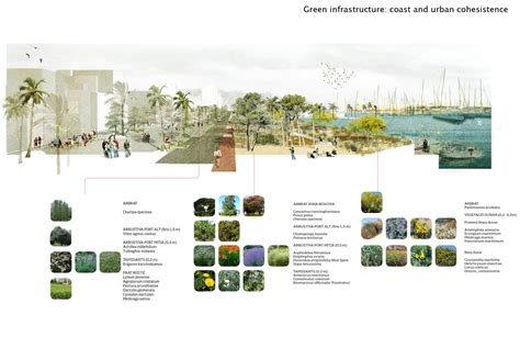 Urban Design Presentation Boards Architecture Urban Design In 2020