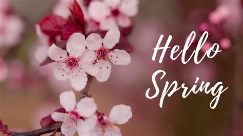 Hello Spring - Keeping It Real In Jersey
