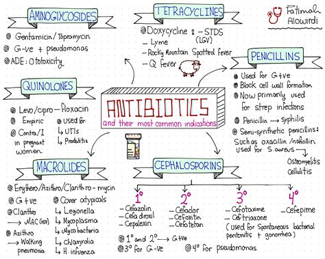 Antibiotics Types And Mechanism Of Action Faculty Of Medicine