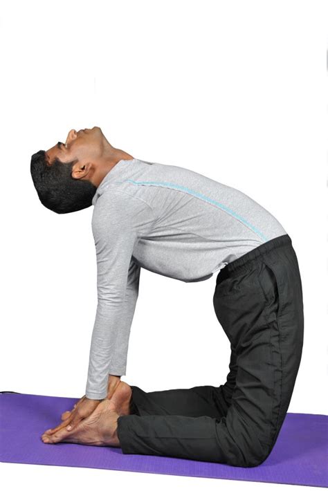 3:02 mahadev yogi 7 196 просмотров. Ustrasana(Camel Pose) - Karuna Yoga-Best Yoga Teacher ...