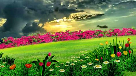 Beautiful Natural Flower Garden Dream Background Video 861