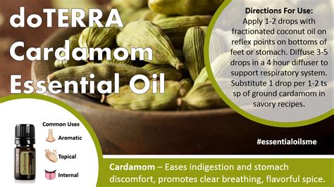 Doterra Cardamom Essential Oil Uses