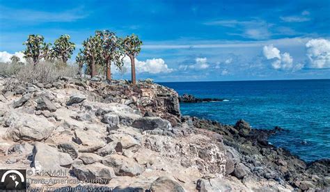 Visiting Santa Fe Island In The Galapagos Trans Americas Journey