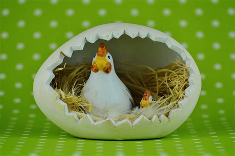 무료 이미지 새 식품 화려한 장난 오리 부활절 계란 닭 부활절 달걀 부활절 축복 받으세요 부활절 장식