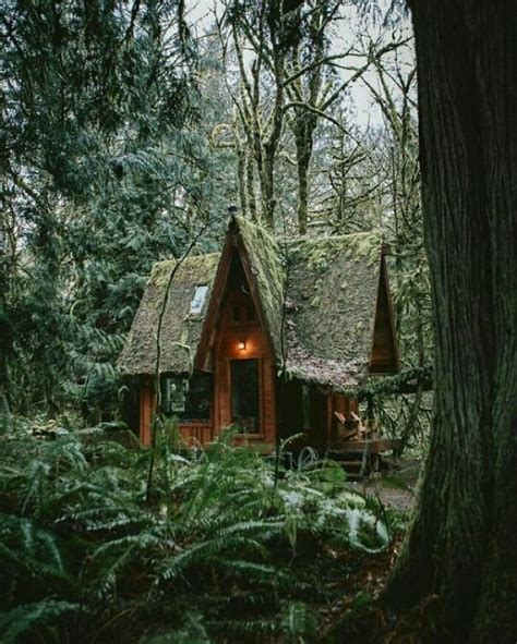 Little Witch Cabin In Enchanted Forest Forest Cottage Forest House