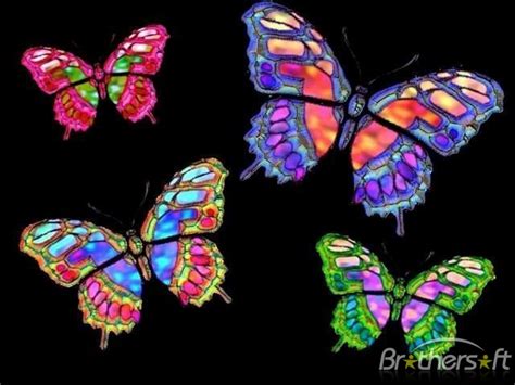 49 Free Butterfly Wallpaper Animated On Wallpapersafari