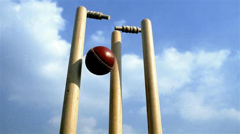 Cricket wireless is an american wireless service provider, owned by at&t inc. Interview with cricket wickets