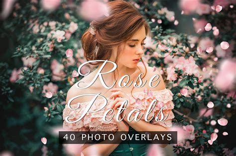 Rose Petals Photo Overlays Overlays For Photoshop Flying Etsy