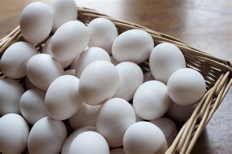 Free Stock Photo 8477 Basket Of White Chicken Eggs Freeimageslive