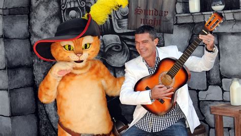10 Most Famous Movie Cats Of All Time - Cats Secrets