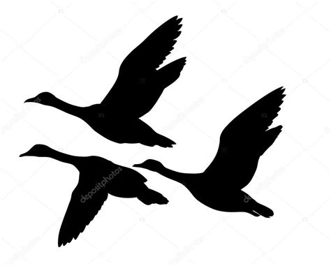 Vector Silhouette Flying Ducks On White Background Stock Vector Image