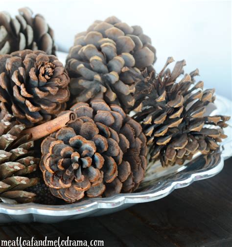 If you don't believe me, just watch a few youtube video's from colorado bigfoot. How to Make Scented Pine Cones - Meatloaf and Melodrama